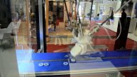 Sabo Electric SA Fanuc Spider Robot Demonstration