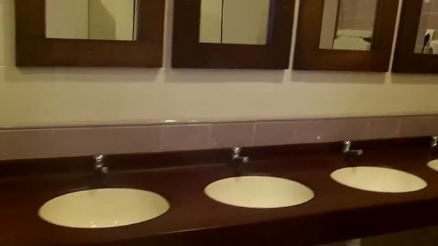 Биопарк Zoo  WC toilette  Валенсия. Испания