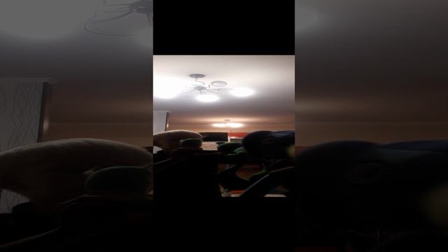 Поппи твой тайм4