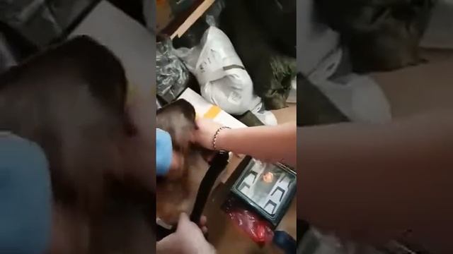 Новые берцы😂