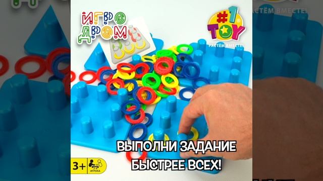 T16695 Цветовые решения