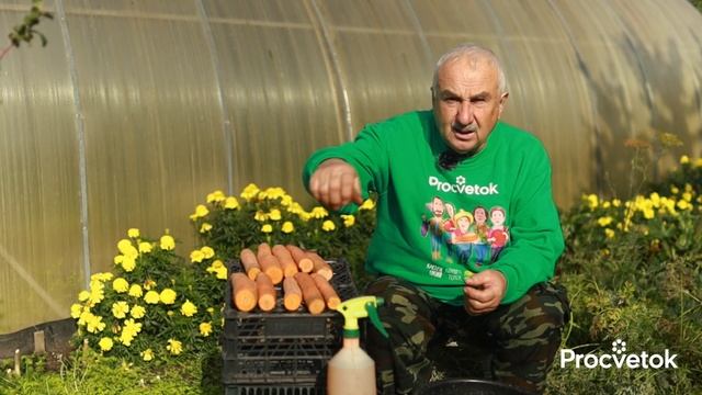 ВЕСЬ УРОЖАЙ ХРАНИТСЯ ДО ВЕСНЫ, НЕ СОХНЕТ И НЕ ГНИЕТ! Как хранить морковь, свеклу, чеснок и яблоки