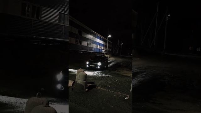 Чёрная пантера