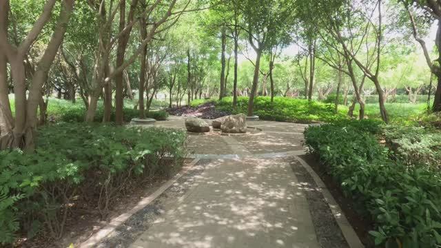 Китай, Сямен (Xiamen), Jul 2024, парк возле водохранилища, продолжение парка