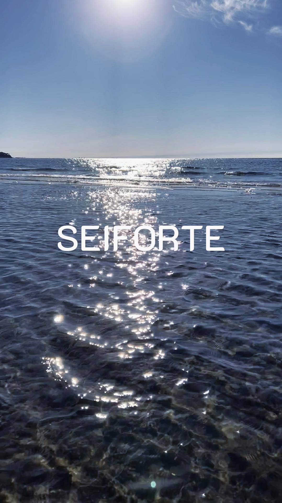 SEIFORTE  PROFESSIONAL