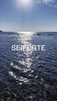 SEIFORTE PROFESSIONAL