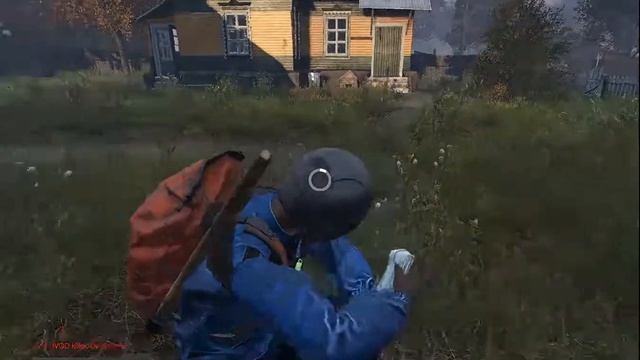 dayz пиратка