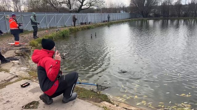 Поимки около забора