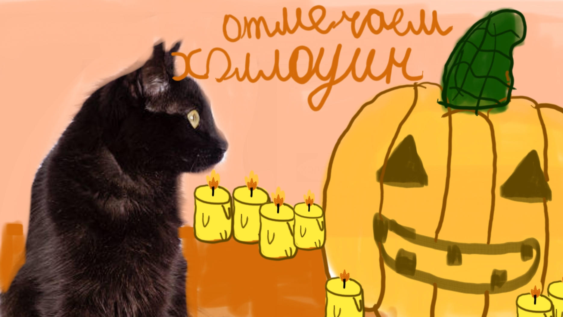 отмечаем Хэллоуин вырезаем тыкву и киска ириска.