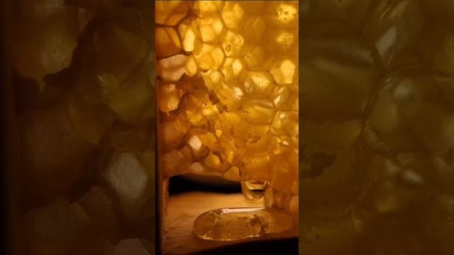 Мёд #64ЗОЖ