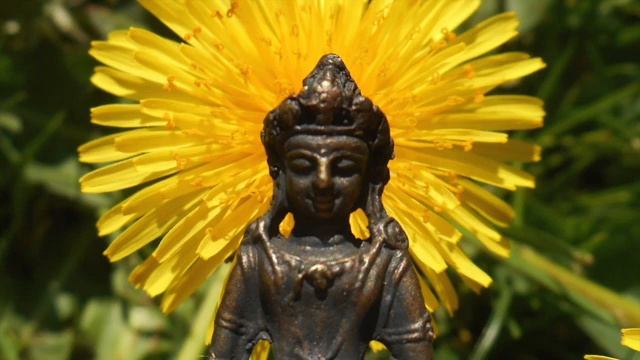 HOW TO FREE THE MIND IN VIPASSANA