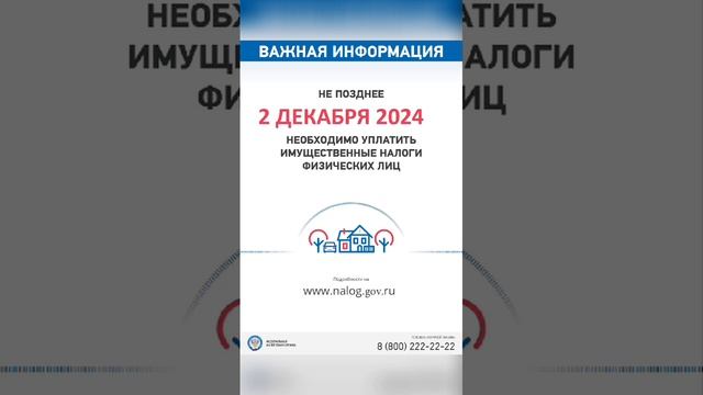 Уплатить имущественные налоги необходимо не позднее 2 декабря