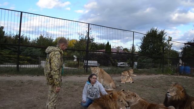 Люди за один день заказали вторую поездку ко львам !