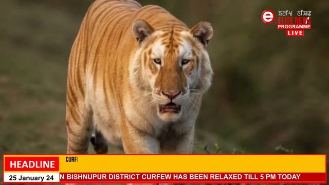 Elite TV 6:00 PM English News | 25th January 2024