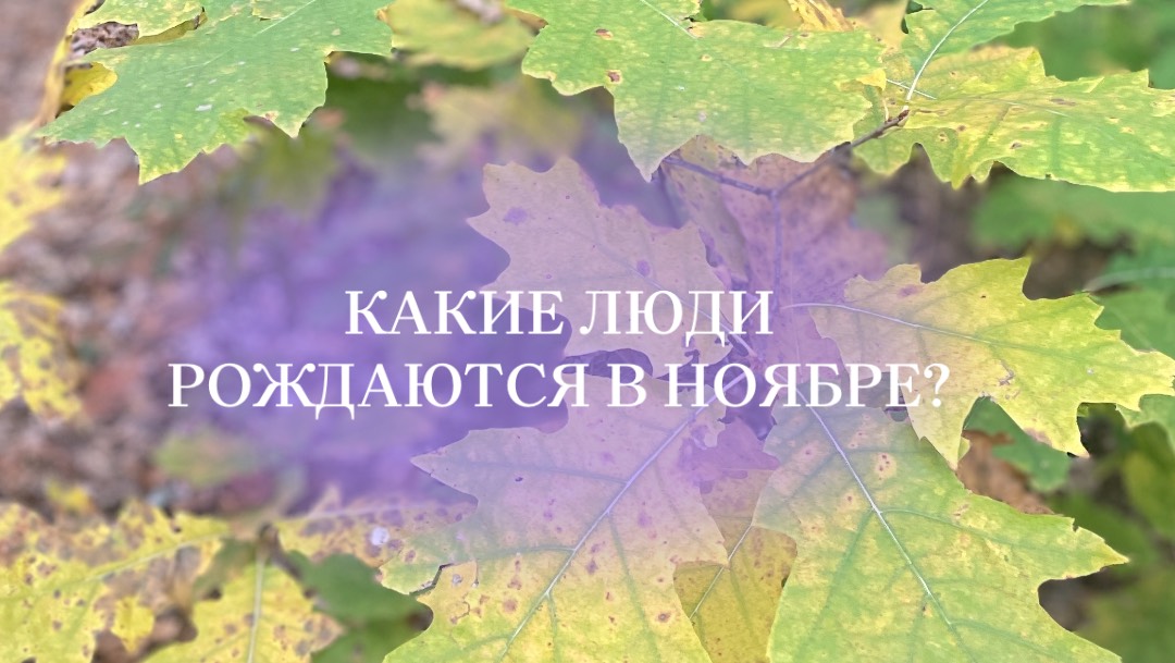 Всё о людях, рождённых в ноябре. Рекомендации в описании. #матрицасудьбы