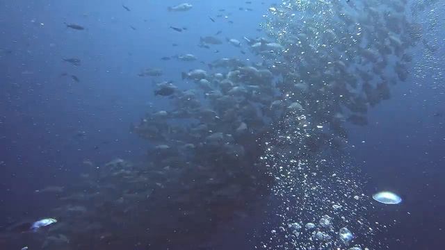 1000040127.mp4
