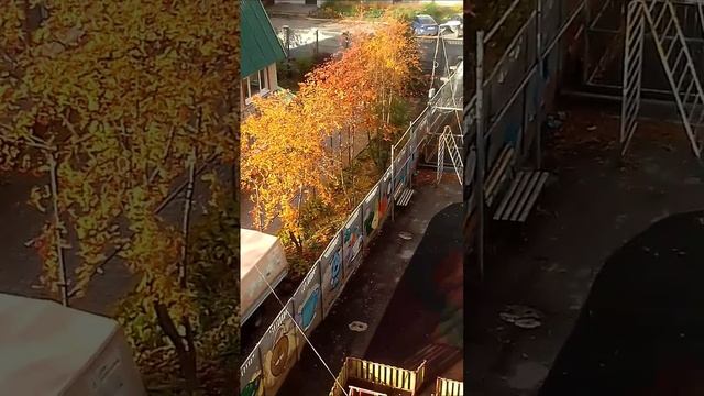 с 1 ноября 2024 года ❄️🌲🌳🌾🍁🍂☁️