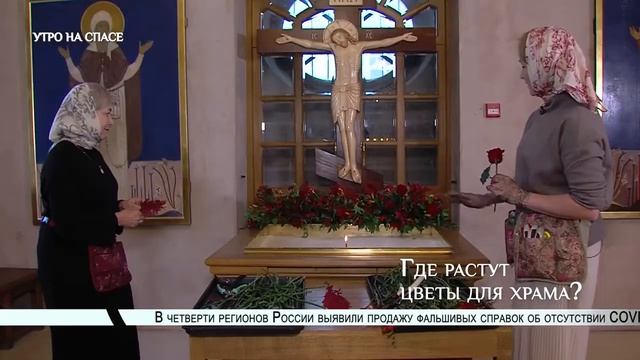 Репортаж на телеканале Спас