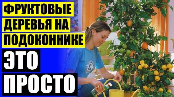 💯 ДЕРЕВЬЯ МИНИ ДЛЯ ЛАНДШАФТНОГО ДИЗАЙНА