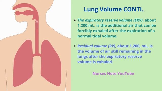 Lung Volume and Capacities || Nurses Note YouTube