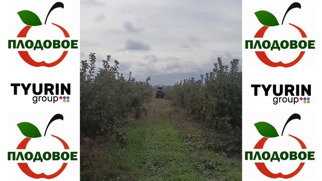 Новый обрезчик в ООО Плодовое