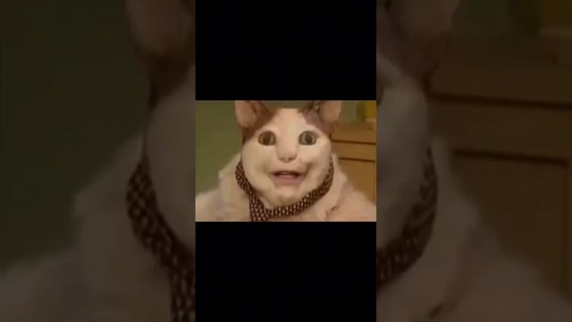 бу, испугался