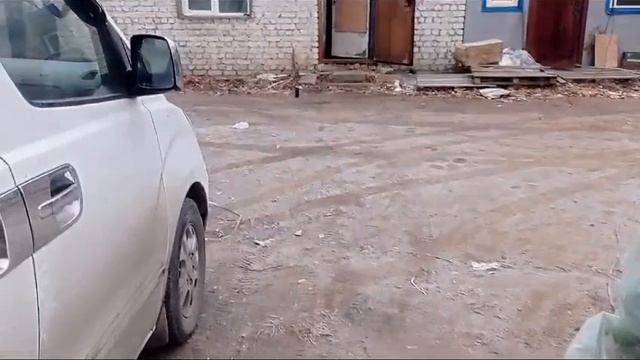 В Амурской области накрыли подпольный цех по заготовке краснокнижного растения