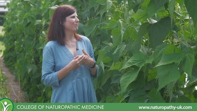 CNM Veggie Walk | Episode 01