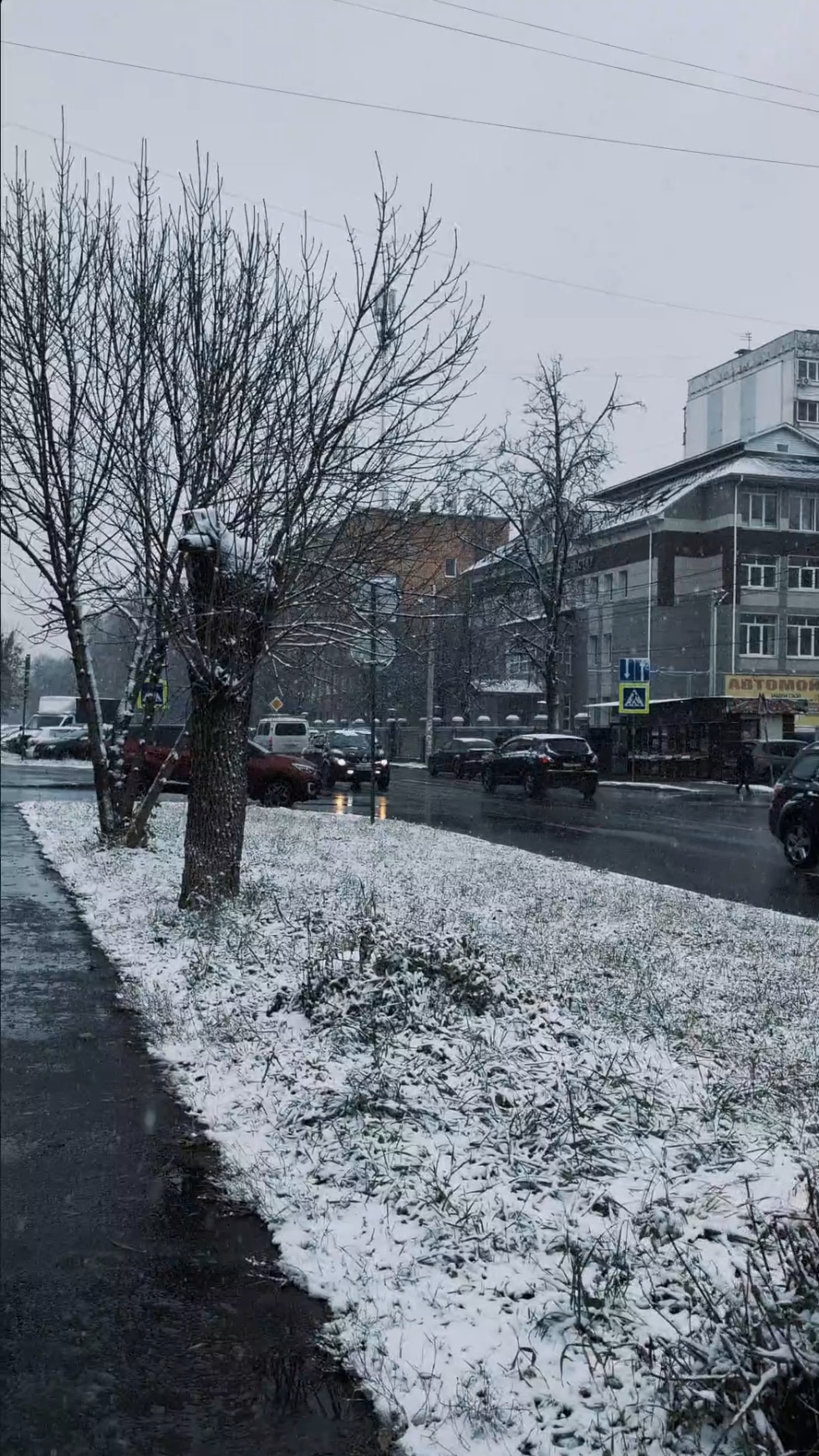 Первый снег