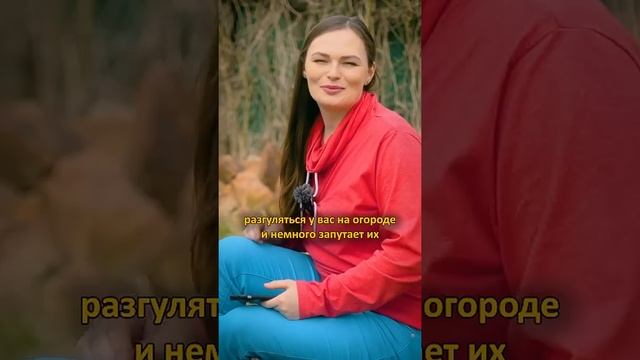 Простой способ ОТ ВРЕДИТЕЛЕЙ и БОЛЕЗНЕЙ