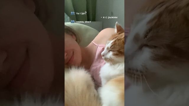 Самый любимый и важный член нашей семьи, который себя не нашел на мусорке Гриша