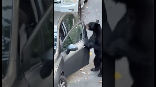 Почему нужно закрывать машину?