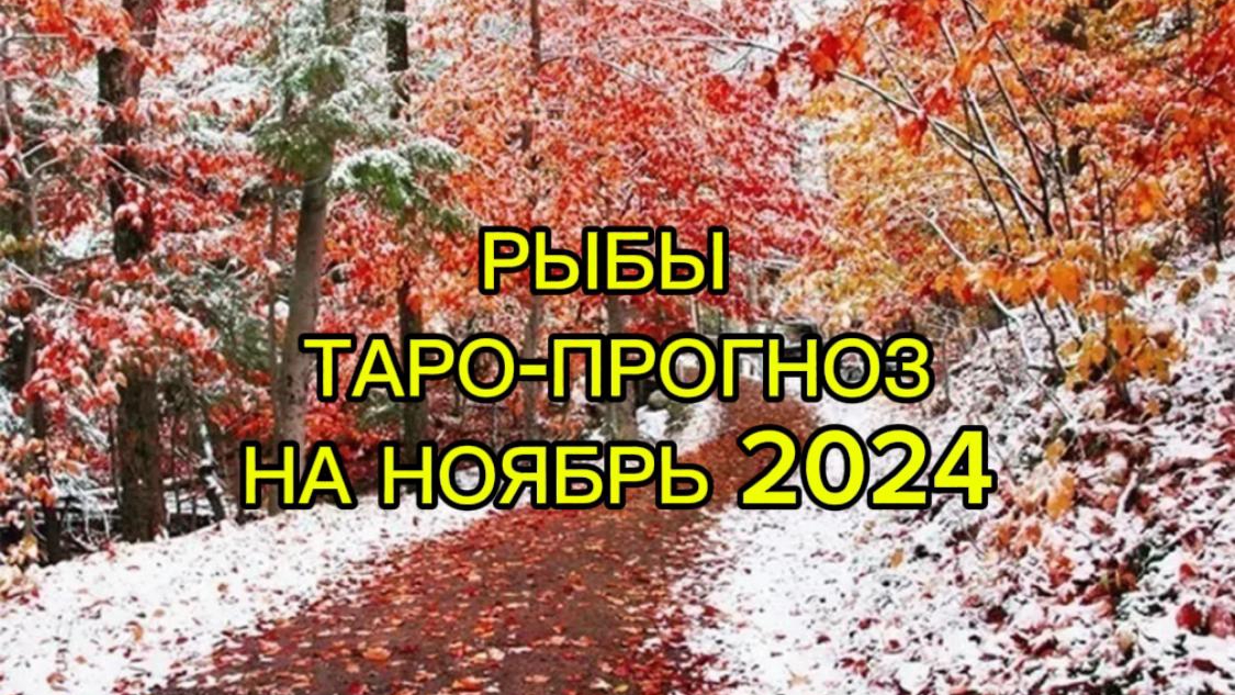 РЫБЫ/ТАРО-ПРОГНОЗ/НОЯБРЬ 2024