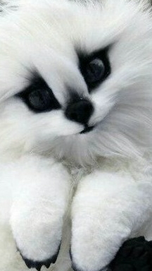 зима чееееееек