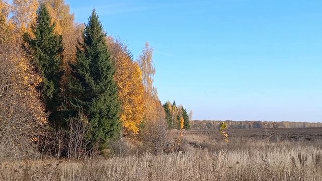 Эх, дорога - А.Незнамов.