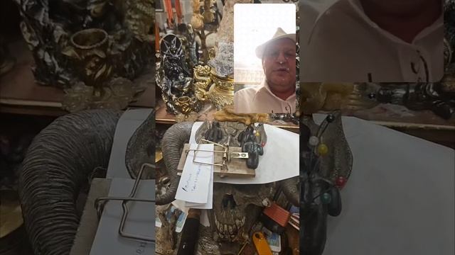 Астрально ментально эфирно как правильно поймать мышь