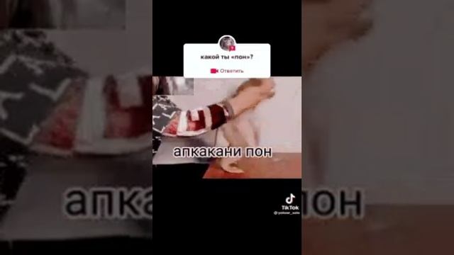 какой ты пон