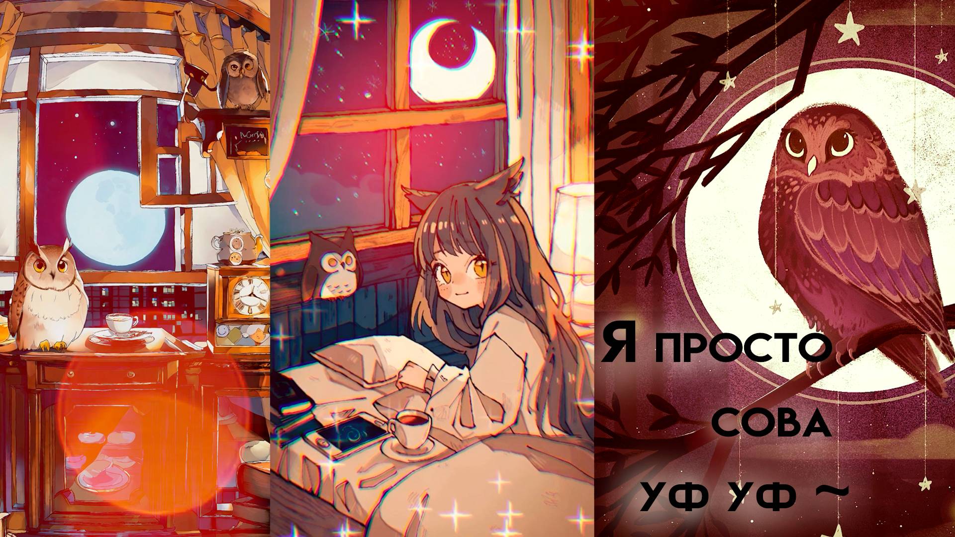 Я просто сова уф уф ~