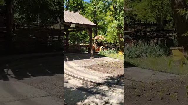 Малыш Дюша молодой тракторист