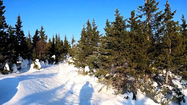 Зимний походик на г. ЮРМА. Таганай. Челябинская обл.