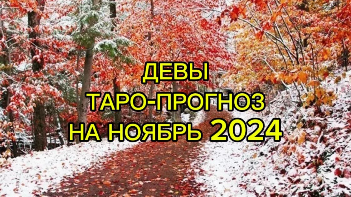 ДЕВЫ/ТАРО-ПРОГНОЗ/НОЯБРЬ 2024