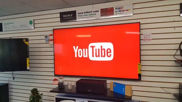 Sony TV Voice Search Feature