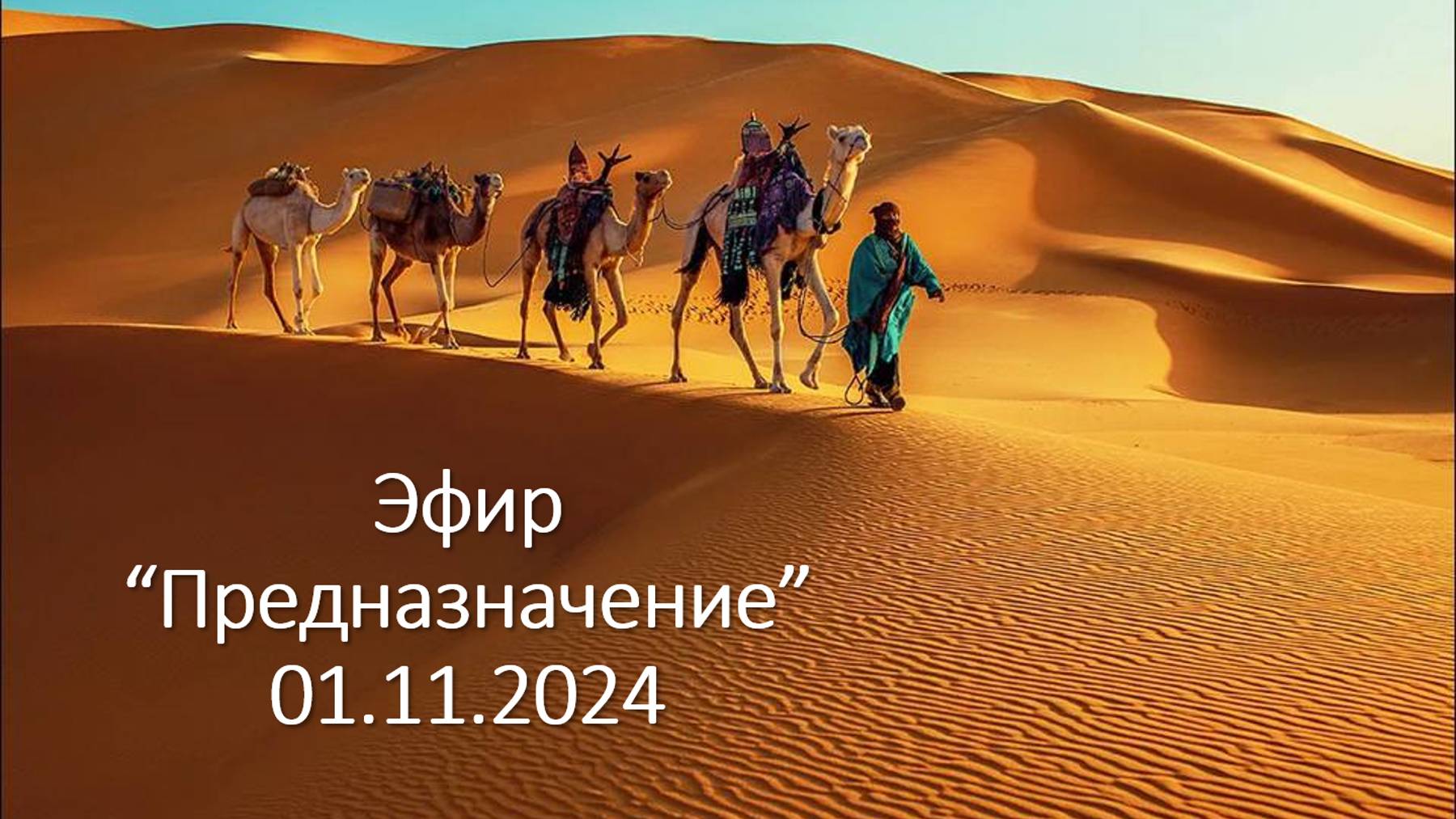 Эфир по теме "Предназначение".