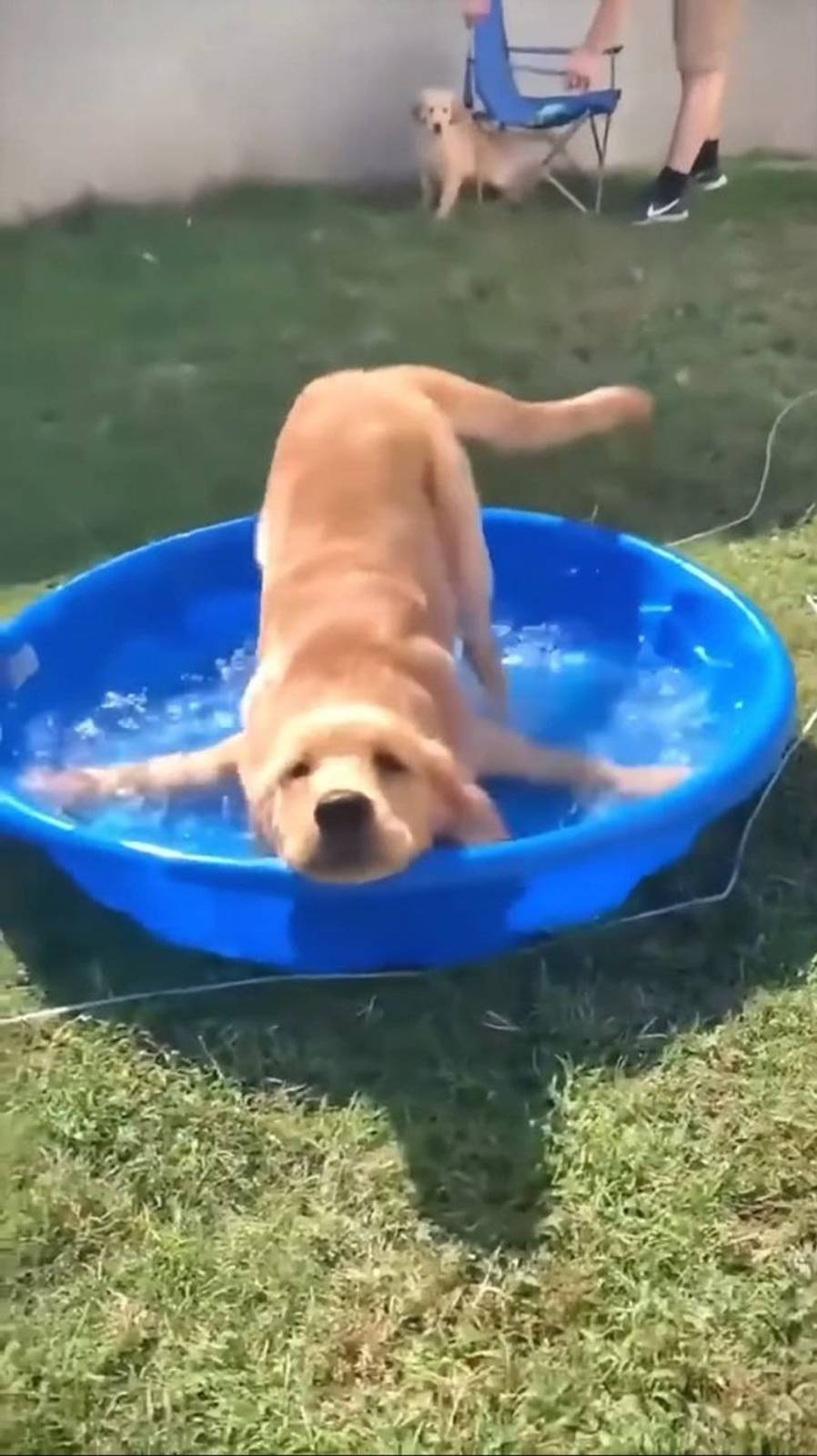 Смешно до слёз !!!