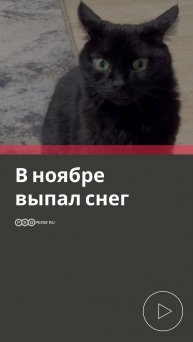 КОГДА ВЫПАЛ СНЕГ