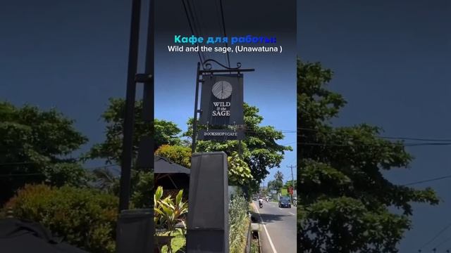 Топ мест где можно поработать за ноутбуком на Шри Ланке! #srilanka #reels #shorts #short #шриланка