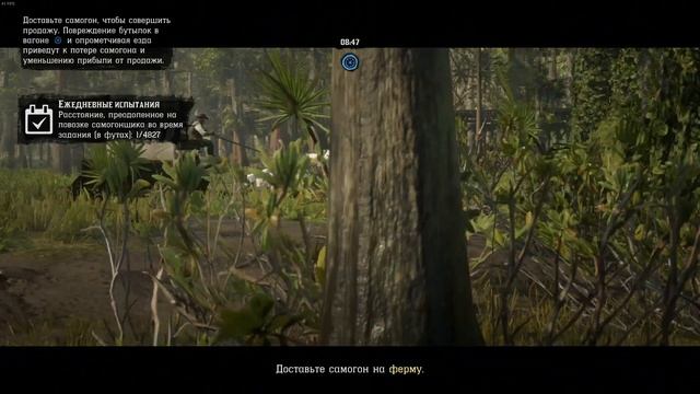 RDR 2 online где Волк (red dead online)