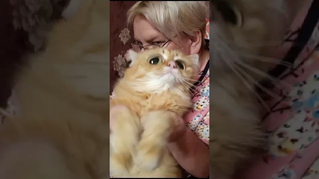 Кайфуем 😺