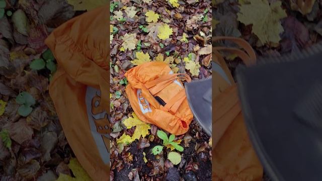 31 октября а ГРИБЫ ещё есть....mp4