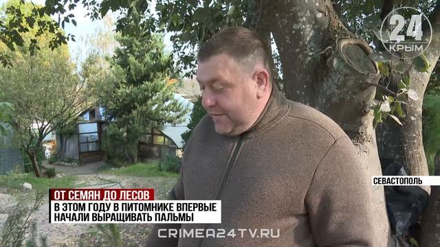 Больше трёх тысяч краснокнижных можжевельников высадят вдоль нового участка трассы «Таврида»